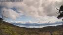 ./images/calvert/fitz-hugh-hecate/20250504/fitz-hugh-hecate20250504_105510M.jpg