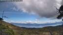 ./images/calvert/fitz-hugh-hecate/20250504/fitz-hugh-hecate20250504_122510M.jpg