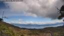 ./images/calvert/fitz-hugh-hecate/20250504/fitz-hugh-hecate20250504_123509M.jpg