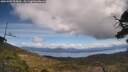 ./images/calvert/fitz-hugh-hecate/20250504/fitz-hugh-hecate20250504_124510M.jpg