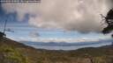 ./images/calvert/fitz-hugh-hecate/20250504/fitz-hugh-hecate20250504_125009M.jpg