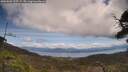 ./images/calvert/fitz-hugh-hecate/20250504/fitz-hugh-hecate20250504_125509M.jpg