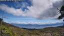 ./images/calvert/fitz-hugh-hecate/20250504/fitz-hugh-hecate20250504_131009M.jpg