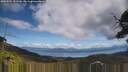 ./images/calvert/fitz-hugh-hecate/20250504/fitz-hugh-hecate20250504_131510M.jpg