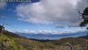 ./images/calvert/fitz-hugh-hecate/20250504/fitz-hugh-hecate20250504_132008M.jpg