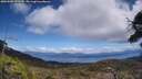 ./images/calvert/fitz-hugh-hecate/20250504/fitz-hugh-hecate20250504_132510M.jpg