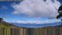 ./images/calvert/fitz-hugh-hecate/20250504/fitz-hugh-hecate20250504_133509M.jpg