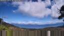 ./images/calvert/fitz-hugh-hecate/20250504/fitz-hugh-hecate20250504_134510M.jpg