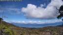 ./images/calvert/fitz-hugh-hecate/20250504/fitz-hugh-hecate20250504_140508M.jpg