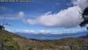 ./images/calvert/fitz-hugh-hecate/20250504/fitz-hugh-hecate20250504_141010M.jpg