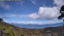 ./images/calvert/fitz-hugh-hecate/20250504/fitz-hugh-hecate20250504_142010M.jpg