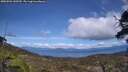 ./images/calvert/fitz-hugh-hecate/20250504/fitz-hugh-hecate20250504_143509M.jpg