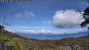 ./images/calvert/fitz-hugh-hecate/20250504/fitz-hugh-hecate20250504_144009M.jpg
