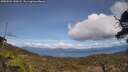 ./images/calvert/fitz-hugh-hecate/20250504/fitz-hugh-hecate20250504_144508M.jpg