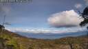 ./images/calvert/fitz-hugh-hecate/20250504/fitz-hugh-hecate20250504_145010M.jpg
