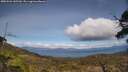 ./images/calvert/fitz-hugh-hecate/20250504/fitz-hugh-hecate20250504_145510M.jpg