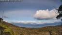 ./images/calvert/fitz-hugh-hecate/20250504/fitz-hugh-hecate20250504_150009M.jpg