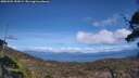 ./images/calvert/fitz-hugh-hecate/20250504/fitz-hugh-hecate20250504_152009M.jpg