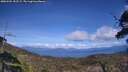 ./images/calvert/fitz-hugh-hecate/20250504/fitz-hugh-hecate20250504_152509M.jpg