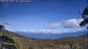 ./images/calvert/fitz-hugh-hecate/20250504/fitz-hugh-hecate20250504_153011M.jpg