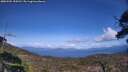 ./images/calvert/fitz-hugh-hecate/20250504/fitz-hugh-hecate20250504_154511M.jpg