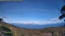 ./images/calvert/fitz-hugh-hecate/20250504/fitz-hugh-hecate20250504_155510M.jpg
