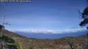 ./images/calvert/fitz-hugh-hecate/20250504/fitz-hugh-hecate20250504_161509M.jpg