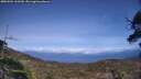 ./images/calvert/fitz-hugh-hecate/20250504/fitz-hugh-hecate20250504_162509M.jpg