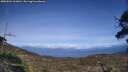 ./images/calvert/fitz-hugh-hecate/20250504/fitz-hugh-hecate20250504_163011M.jpg