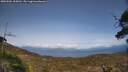 ./images/calvert/fitz-hugh-hecate/20250504/fitz-hugh-hecate20250504_164510M.jpg
