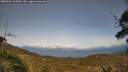 ./images/calvert/fitz-hugh-hecate/20250504/fitz-hugh-hecate20250504_165010M.jpg
