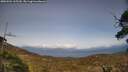 ./images/calvert/fitz-hugh-hecate/20250504/fitz-hugh-hecate20250504_165509M.jpg
