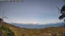 ./images/calvert/fitz-hugh-hecate/20250504/fitz-hugh-hecate20250504_170011M.jpg