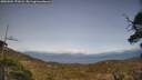 ./images/calvert/fitz-hugh-hecate/20250504/fitz-hugh-hecate20250504_171008M.jpg