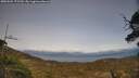 ./images/calvert/fitz-hugh-hecate/20250504/fitz-hugh-hecate20250504_172510M.jpg
