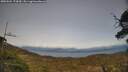 ./images/calvert/fitz-hugh-hecate/20250504/fitz-hugh-hecate20250504_173009M.jpg