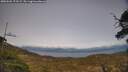 ./images/calvert/fitz-hugh-hecate/20250504/fitz-hugh-hecate20250504_173509M.jpg