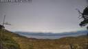 ./images/calvert/fitz-hugh-hecate/20250504/fitz-hugh-hecate20250504_174010M.jpg