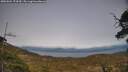 ./images/calvert/fitz-hugh-hecate/20250504/fitz-hugh-hecate20250504_174510M.jpg