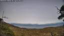 ./images/calvert/fitz-hugh-hecate/20250504/fitz-hugh-hecate20250504_175010M.jpg