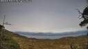 ./images/calvert/fitz-hugh-hecate/20250504/fitz-hugh-hecate20250504_175509M.jpg