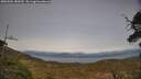 ./images/calvert/fitz-hugh-hecate/20250504/fitz-hugh-hecate20250504_180510M.jpg