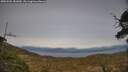 ./images/calvert/fitz-hugh-hecate/20250504/fitz-hugh-hecate20250504_181010M.jpg