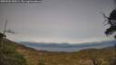 ./images/calvert/fitz-hugh-hecate/20250504/fitz-hugh-hecate20250504_182009M.jpg