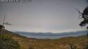 ./images/calvert/fitz-hugh-hecate/20250504/fitz-hugh-hecate20250504_182509M.jpg