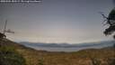./images/calvert/fitz-hugh-hecate/20250504/fitz-hugh-hecate20250504_183509M.jpg