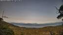 ./images/calvert/fitz-hugh-hecate/20250504/fitz-hugh-hecate20250504_184010M.jpg