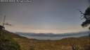 ./images/calvert/fitz-hugh-hecate/20250504/fitz-hugh-hecate20250504_184510M.jpg