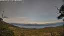 ./images/calvert/fitz-hugh-hecate/20250504/fitz-hugh-hecate20250504_185509M.jpg