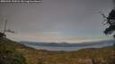 ./images/calvert/fitz-hugh-hecate/20250504/fitz-hugh-hecate20250504_190008M.jpg